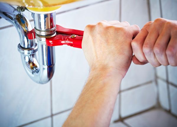 About Gray Hawk Plumbers
